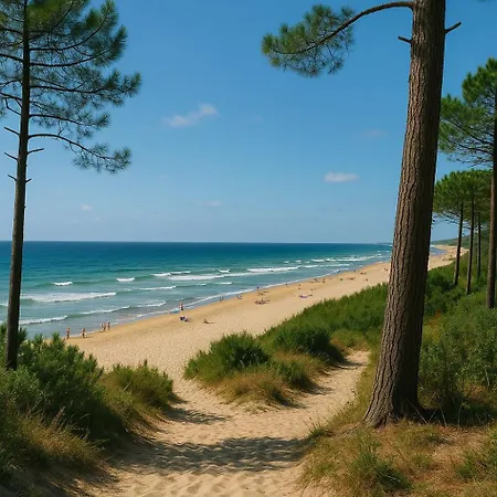 Le Cosy Bisca-parking-terasse-lac-ocean