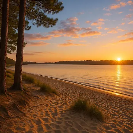 Apartamento Le Cosy Bisca-parking-terasse-lac-ocean Biscarrosse