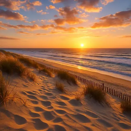 Le Cosy Bisca-parking-terasse-lac-ocean * Biscarrosse