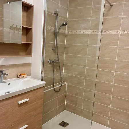 Le Cosy Bisca-parking-terasse-lac-ocean Apartment